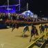 The Phoenix 2026: World's Richest Greyhound Race