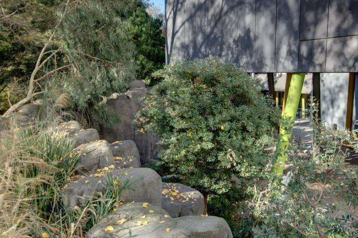 Milarri Garden Trail @ Bunjilaka Aboriginal Cultural Centre