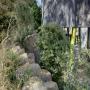 Milarri Garden Trail @ Bunjilaka Aboriginal Cultural Centre