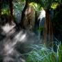 Forest Secrets @ Melbourne Museum