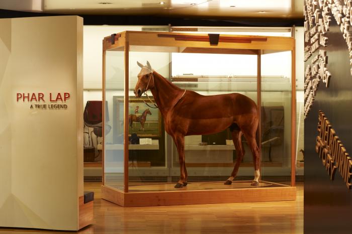 Melbourne Museum: Phar Lap Exhibition