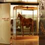 Melbourne Museum: Phar Lap Exhibition