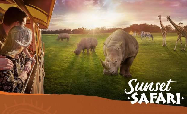 Sunset Safari at Werribee Open Range Zoo