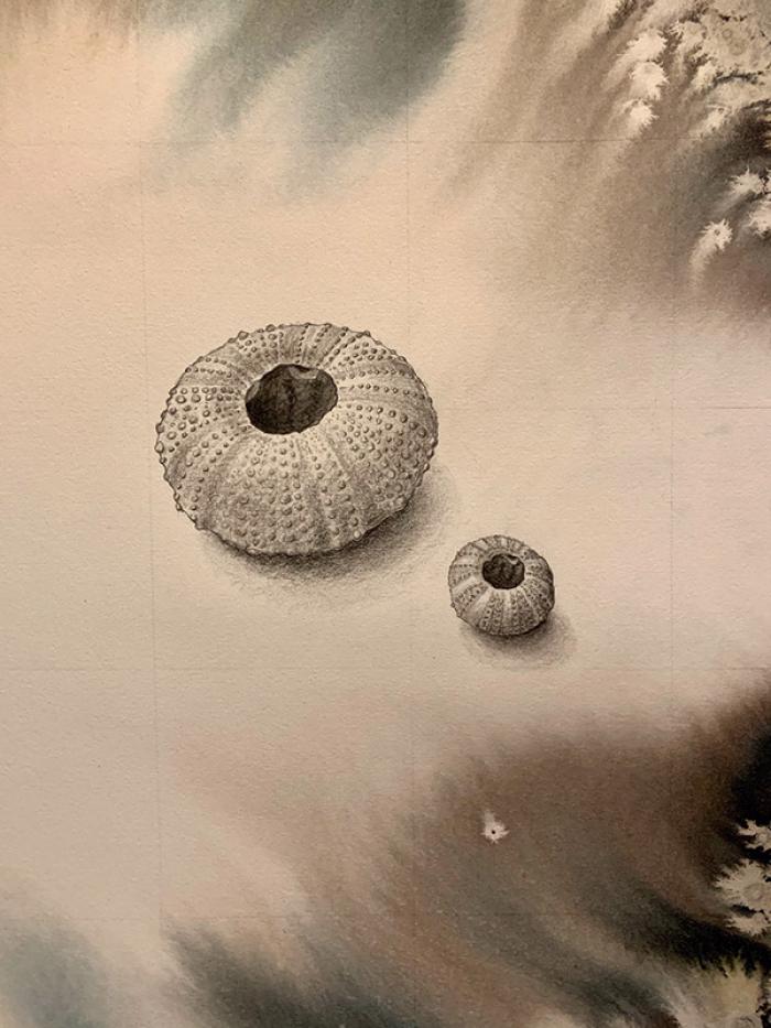 Linda Marie: Anemone Songs