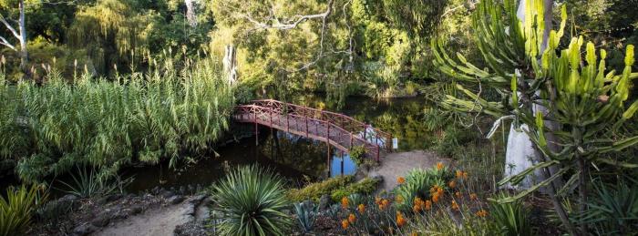 Garden Tours at Rippon Lea