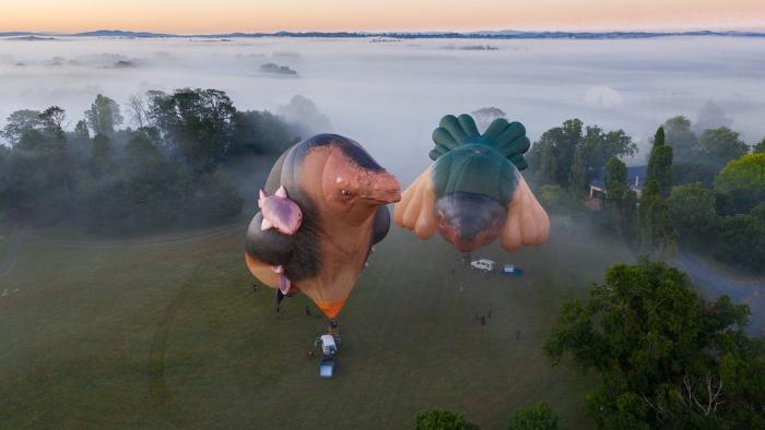 Skywhales Across Australia: Mornington Peninsula