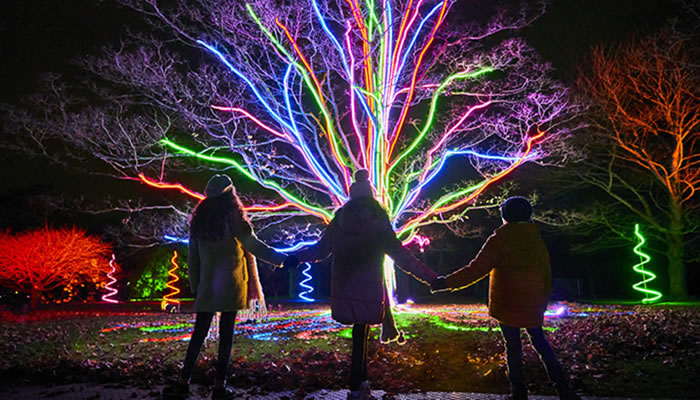 Lightscape 2025 - Royal Botanic Gardens