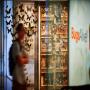 Bugs Alive! @ Melbourne Museum