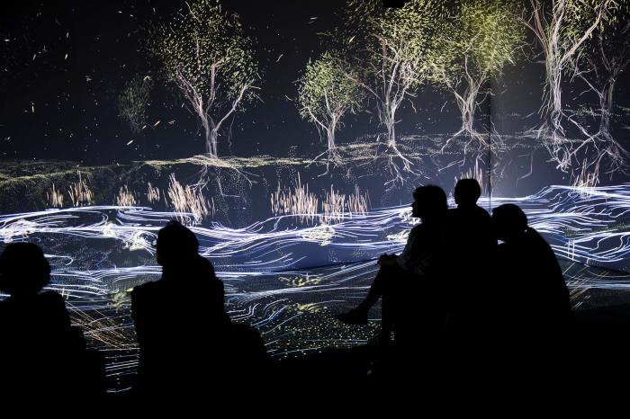 River Connections - Learning Lab @ Melbourne Museum