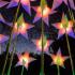 Lightscape 2026 - Royal Botanic Gardens
