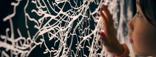 Newsletter: What's On Melbourne | 21 - 27  October 2025